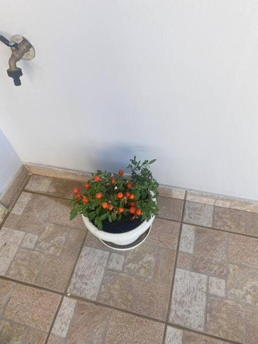 New Lovely Apartment In Heraklion Екстериор снимка